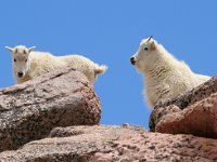 Mt Evans