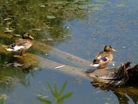 National Wildlife Refuge