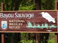 Bayou Sauvage LA