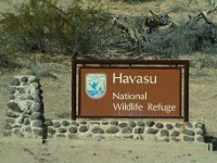 Havasu CA